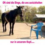 dinge-im-kopf